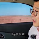 아델국제결혼