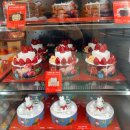 로얄플라자(배스킨라빈스 매장 앞) | 동탄 배스킨라빈스 크리스마스 케이크 예약 할인! 헌터 패딩 블랭킷 후기 (동탄청계점 주차)