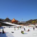 롯데워터파크(스파) 이미지