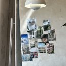 노머트 이미지