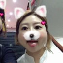 스시탐탐