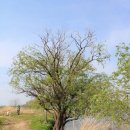 맥도생태공원 이미지