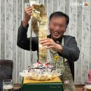 돼지마을 이미지