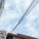 여주-0608 이미지