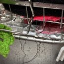 다팜MALL 이미지