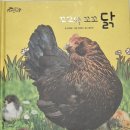꼬꼬댁 - 포항시 북구 장량로 171 | 꼬꼬댁