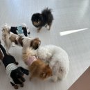은평국제유치원 이미지