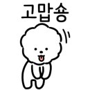 도그미용실 이미지