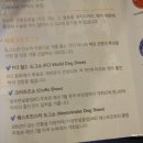 코코앤켈리 이미지