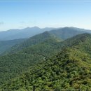 천왕봉산장앞 이미지