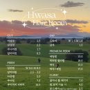 화사헤어 이미지