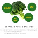 준희네농장 이미지