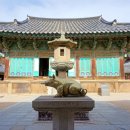 복돼지 이미지