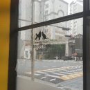 야옹아 멍멍해봐 별내점 이미지