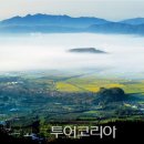 더낭만 이미지