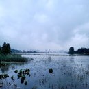 한촌설렁탕두정점 이미지