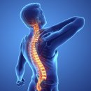 밸런스본의원 이미지