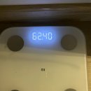 시서스필다이어트 후기 -7kg 성공한 다이어트 비법
