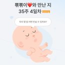 #임신후기 : 임신 35주+4일 “막달검사” - 정관 아이앤젤 여성의원