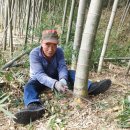 한상근대통밥집 이미지