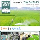 경기종묘농자재 이미지