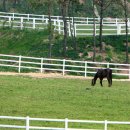 정화목장 이미지