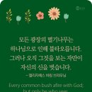 신을 벗습니다 이미지