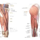 경희태림한의원 이미지
