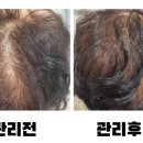 에스앤지뷰티코어