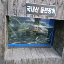 향옥정 | 김해 불암동 장어 맛집 향옥정 다녀온 솔직 후기 (김해 현지인 맛집 인정)