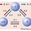 탱탱피부관리 - 포항시 남구 대이로 105 | 탱탱피부관리