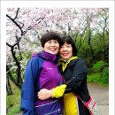서수 Daum카페