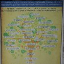 장수사 | 베트남 하노이 여행 호찌민묘소 못꼿사원 바딘광장