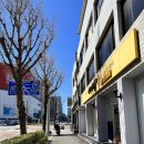 김인정한복 | 강릉 웨딩한복대여, 맞춤 한번에 해결 내돈내산 찐 후기 (김인정한복)
