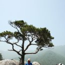 무릉회관 이미지