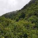 더블스테이가평2호점 이미지