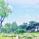 서문산림 이미지