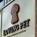 러빙펫 강아지분양 배곧본점 | 100-55일차 배곧애완견 러빙펫배곧점