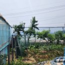 용토농장 이미지