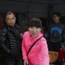 김여희 카카오 검색결과