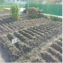 내곡동체육시설 이미지