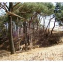 소석농장 이미지