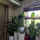 천생산칼국수 이미지