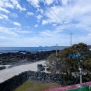 방울풍뎅이 이미지