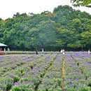 개평한옥문화마을 이미지