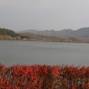 죽안 이미지