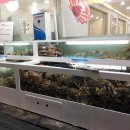 왕대박대게파티 이미지