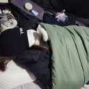 타이거오토 이미지