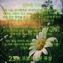 오늘은스시로 이미지