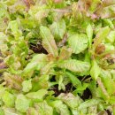 선우정경로당 이미지